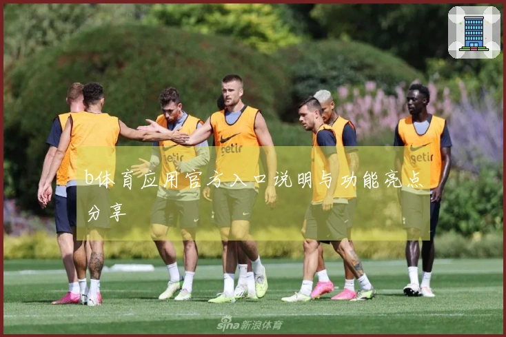 b体育应用官方入口说明与功能亮点分享