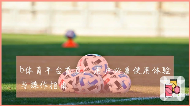 b体育平台首页：用户必看使用体验与操作指南