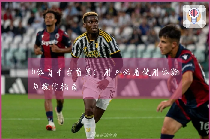 b体育平台首页：用户必看使用体验与操作指南