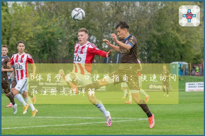 b体育登录入口使用指南：快速访问和注册流程详解